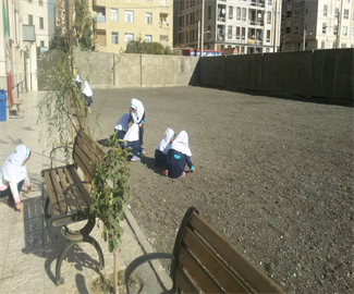 ریاضی