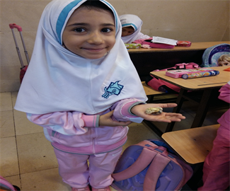 پایه اول