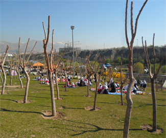 اردوی پارک جوانمردان